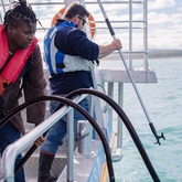Crew collecting kelp