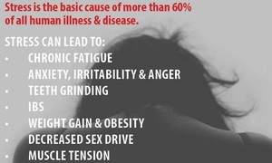 Stress Facts & Stress Relievers