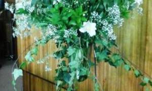 Kerkdienste: Sondag 29 Julie 2018