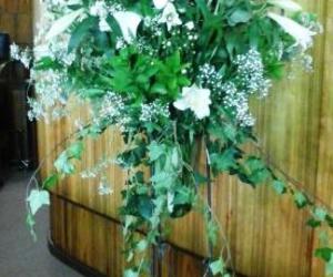 Kerkdienste: Sondag 29 Julie 2018