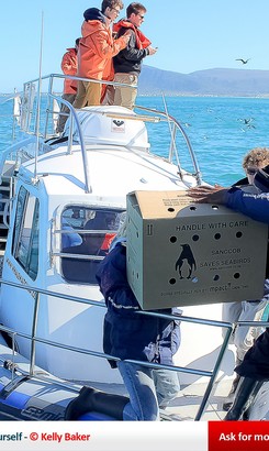 2016_116_web_1532589310