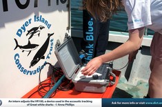 New_23_web_1532589499