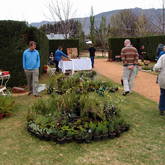 Barrydale Botanical Bash 2014