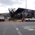 Robertson Spur, trimming high risk trees