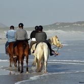 #Gansbaai & Pearly Beach Horse Trails
