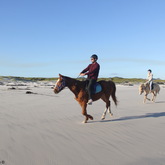 #Gansbaaai & Pearly Beach Horse Trails
