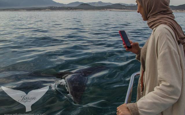 38239070_2132717463414061_158219942280298496_o_1533283460