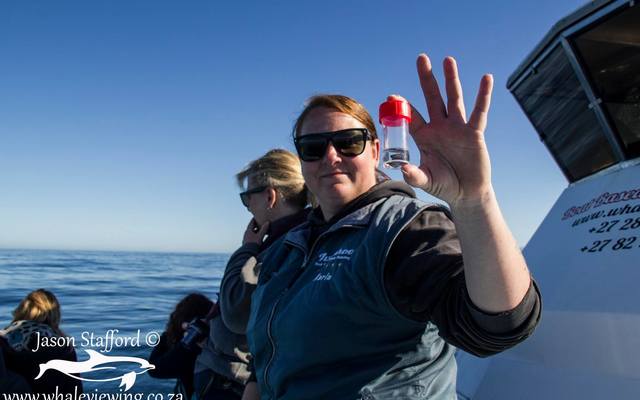 38239166_2132722183413589_8928456711610564608_o_1533283534