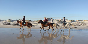 #Gansbaai & Pearly Beach Horse Trails