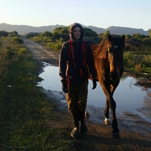 Walking_the_animals_1533549428