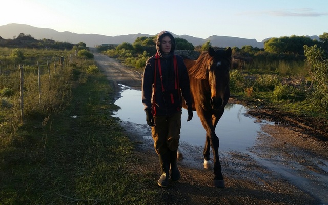 Walking_the_animals_1533549428