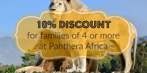 unnamed_27__1534151417