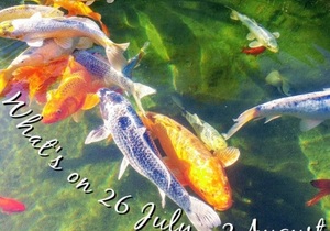 What's on 26 July - 2 August