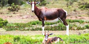 36517405_642419752779827_2204286201102336000_o_1534408081