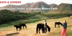 unnamed_5__1534427344