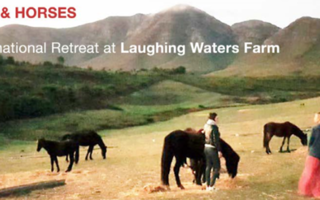 unnamed_5__1534427344