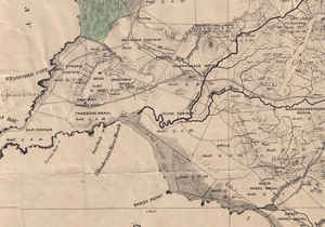 The Phenomena Baardskeerdersbos