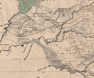 The Phenomena Baardskeerdersbos