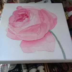 WhatsApp_Image_2018_08_16_at_12.01.10_1534485560