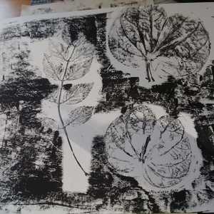 WhatsApp_Image_2018_08_16_at_12.02.12_1534485561