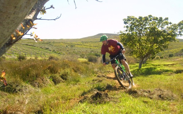 IMG_9401_1534515534 IMG_9401_1534515534