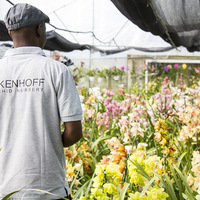 Eikenhoff Branded Shirt