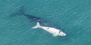 DSC_6270_edit_PR_1080x675_1534939241