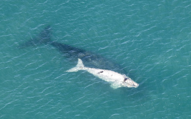 DSC_6270_edit_PR_1080x675_1534939241 DSC_6270_edit_PR_1080x675_1534939241