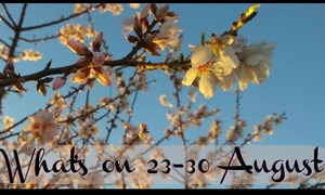 What's on 23 - 30 August