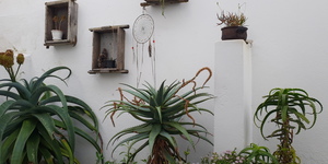 20180810_124508_1535439497