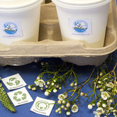 Coffee mugs in tray eco friendly