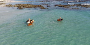 #gansbaai & pearly beach horse trails