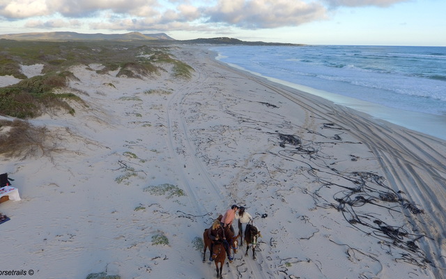 #gansbaai & pearly beach horse trails