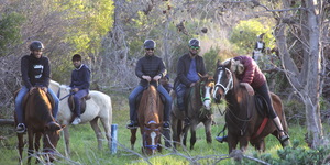 #gansbaai & pearly beach horse trails