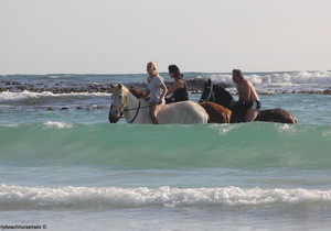 Some of our latest reviews on TripAdvisor