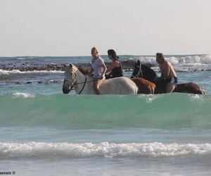 Some of our latest reviews on TripAdvisor