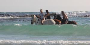 #gansbaai & pearly beach horse trails