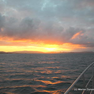 20180903_SF_Trip1_KBaker_IMG01_1536061390