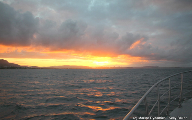 20180903_SF_Trip1_KBaker_IMG01_1536061390