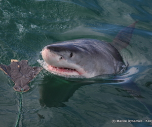 Daily Blog 03 September 2018