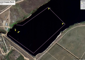 Canoe Races - 22 September 2018 - Gansbaai - Funky Fynbos Festival