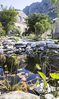 kleinmond_gardens_banwell_gardens_pond_1536328495