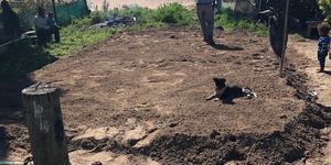 WhatsApp_Image_2018_09_12_at_16.45.26_1__1536912116