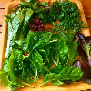 40641895_940673282807437_148234568518860800_o_1536925489