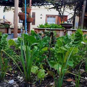 41412381_944837052391060_1378862807583293440_n_1536925488