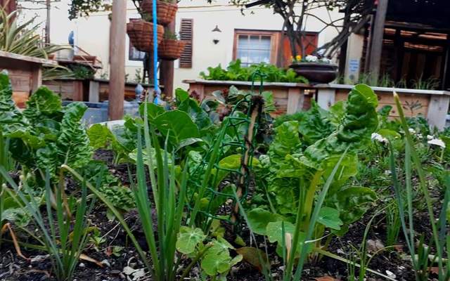 41412381_944837052391060_1378862807583293440_n_1536925488