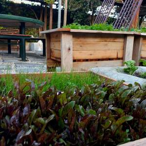 41444486_945404715667627_4253211061307572224_o_1536925487