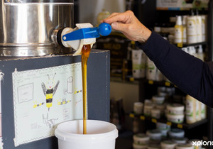 Where to find Raw Quality SouthÂ African Honey?