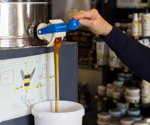 Where to find Raw Quality SouthÂ African Honey?