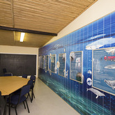 Life of a whale illustration